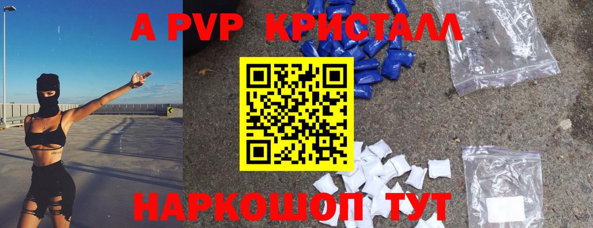 A PVP СК КРИС Владикавказ