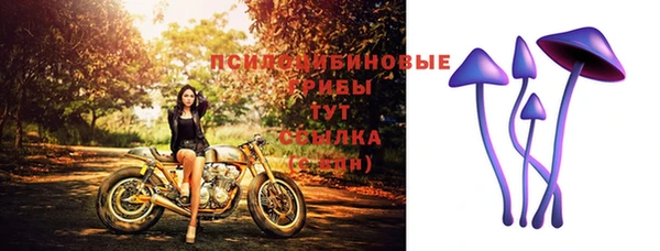 тгк Абинск