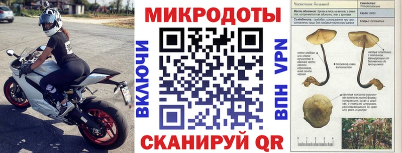 KRAKEN онион  Владикавказ  Галлюциногенные грибы Psilocybe  где купить наркотик 