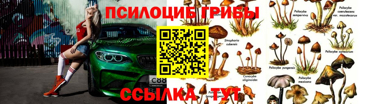 Галлюциногенные грибы ЛСД  Вход с VPN  Владикавказ 
